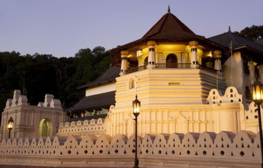 11 Nights 12 Days Tour in Sri Lanka