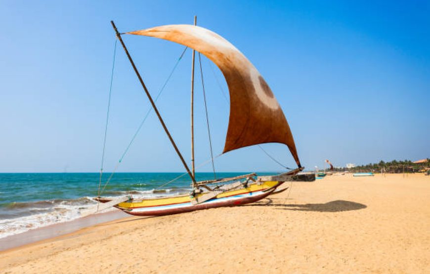 9 Nights 10 Days Tour In Sri Lanka