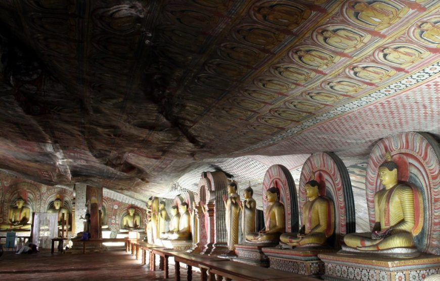 9 Nights 10 Days Tour In Sri Lanka