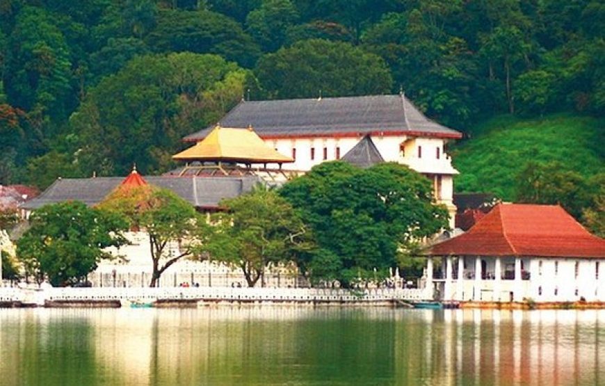 5 Nights 6 Days Tour in Sri Lanka